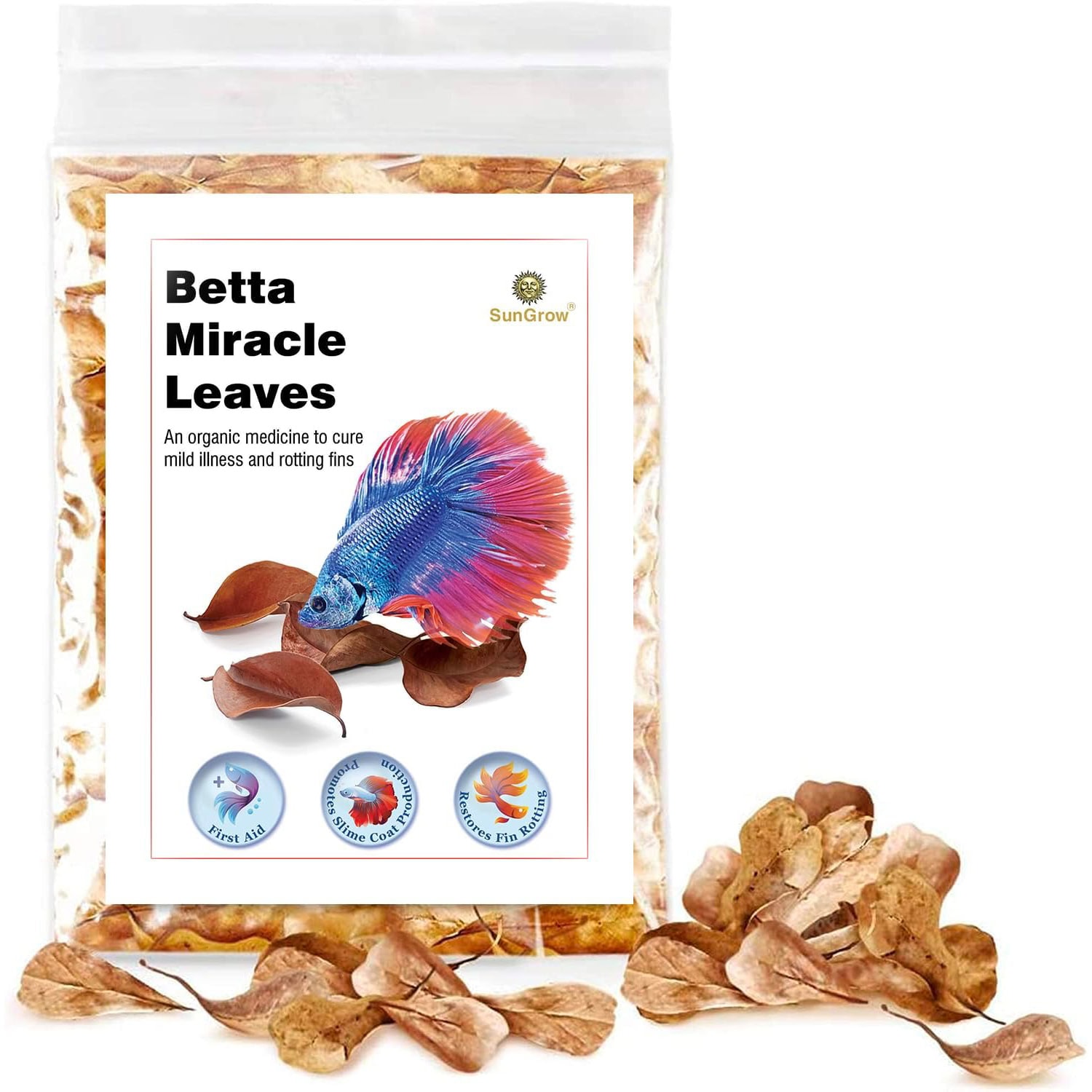 SunGrow Betta Fish Indian Almond 