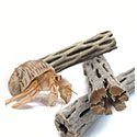 SunGrow Cholla Wood Aquarium Driftwood
