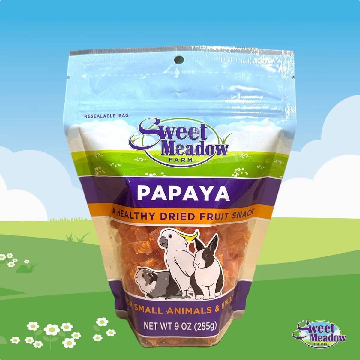 Sweet Meadow Dried Papaya 