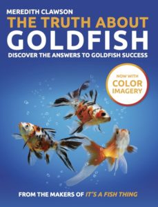 How to Tell the Gender of a Goldfish: Top 5 Methods to Sex Your Fish