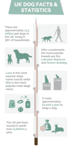 Gallery Detail: 17 Uk Dog Statistics Facts To Know 2026 Update