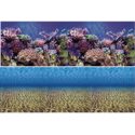 Vepotek Double-Sided Fish Aquarium Background