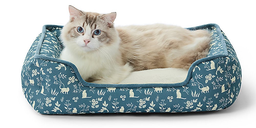 petsmart cat beds
