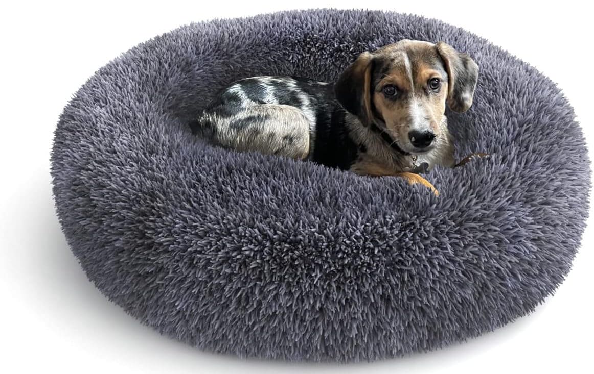 Wise Life Pet Donut Calming Bed