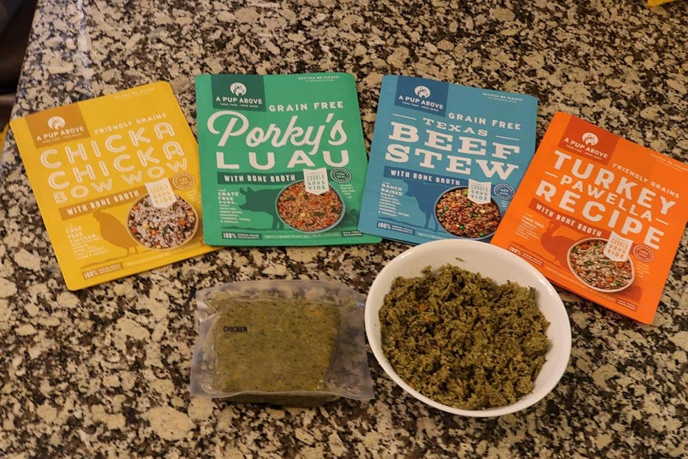 a pup above fresh dog food