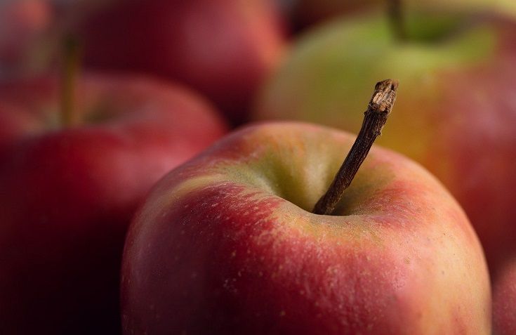 apple close up