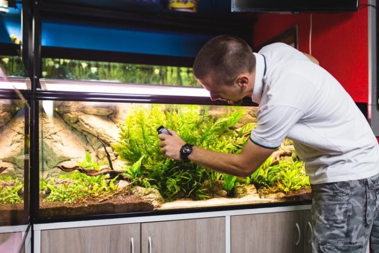 Goldfish Tank Size Guide: Vet-Approved Tips & Tricks | Hepper Pet Resources
