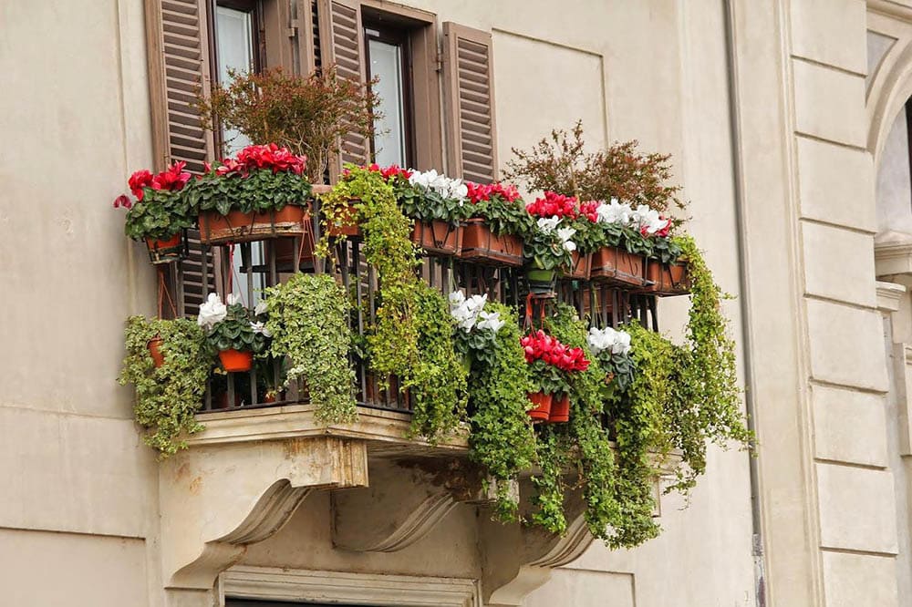 balcony filled with plant boxes