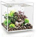 biOrb Cube 30 Aquarium