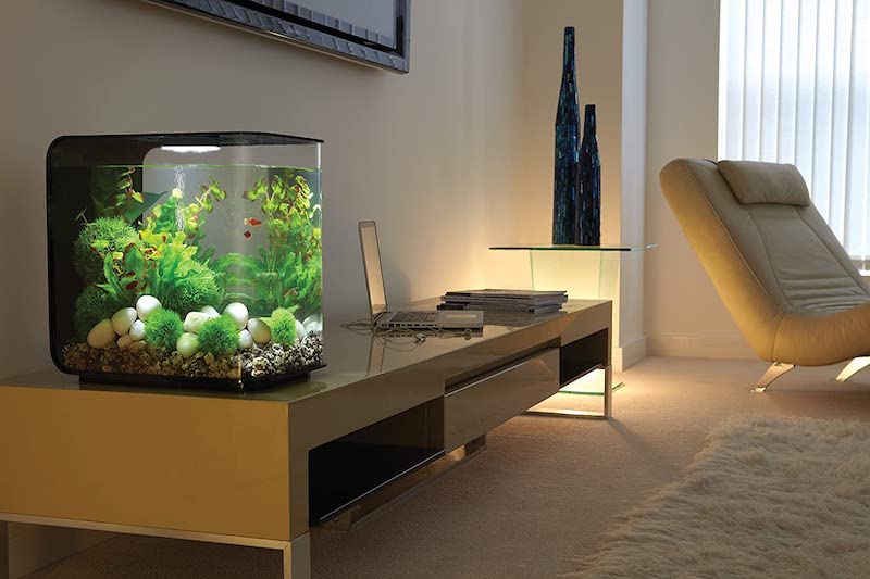 biorb flow 30 black aquarium
