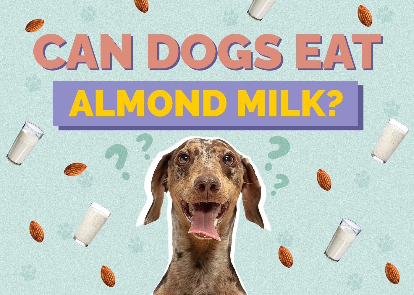 Can Dogs Have Almond Milk