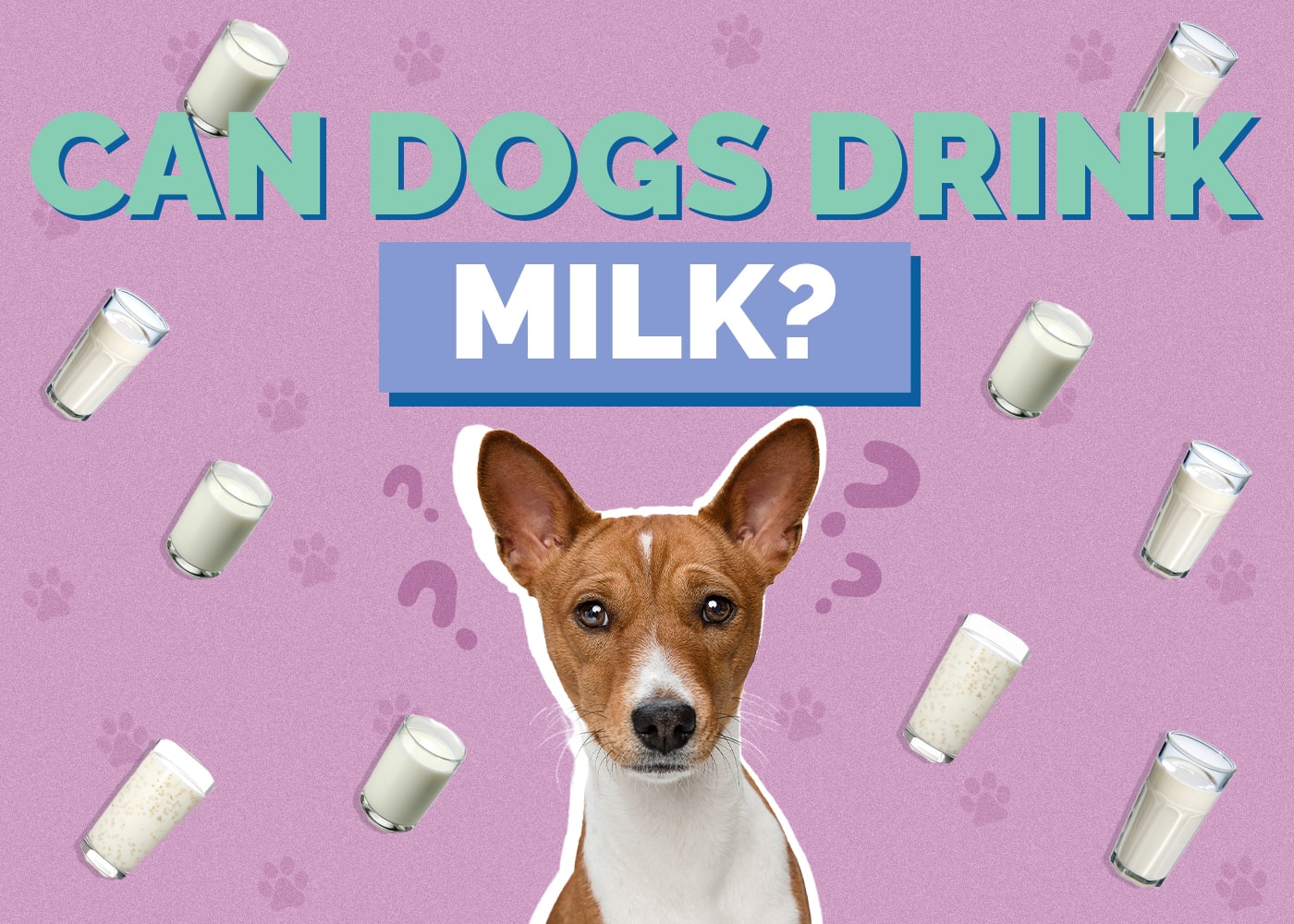 Can Dogs Drink Milk