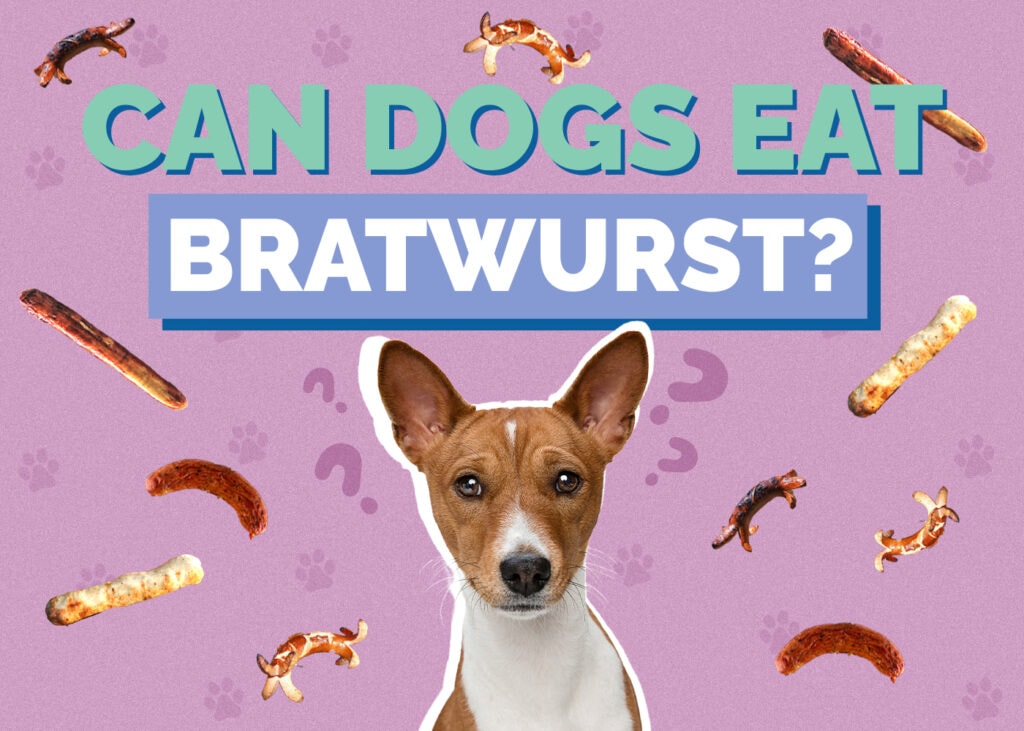 Can Dogs Eat Bratwurst