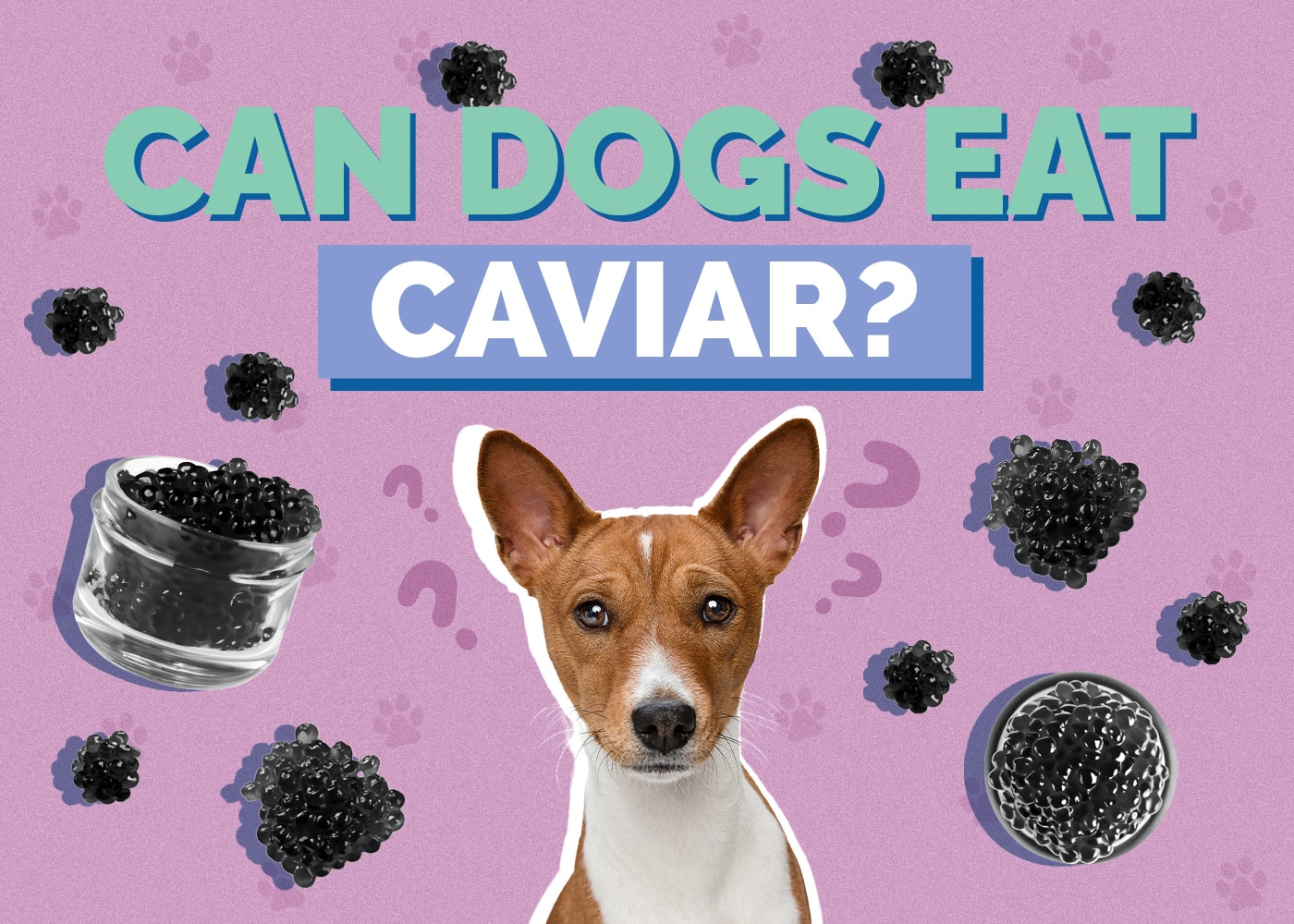 Can Dogs Eat Caviar