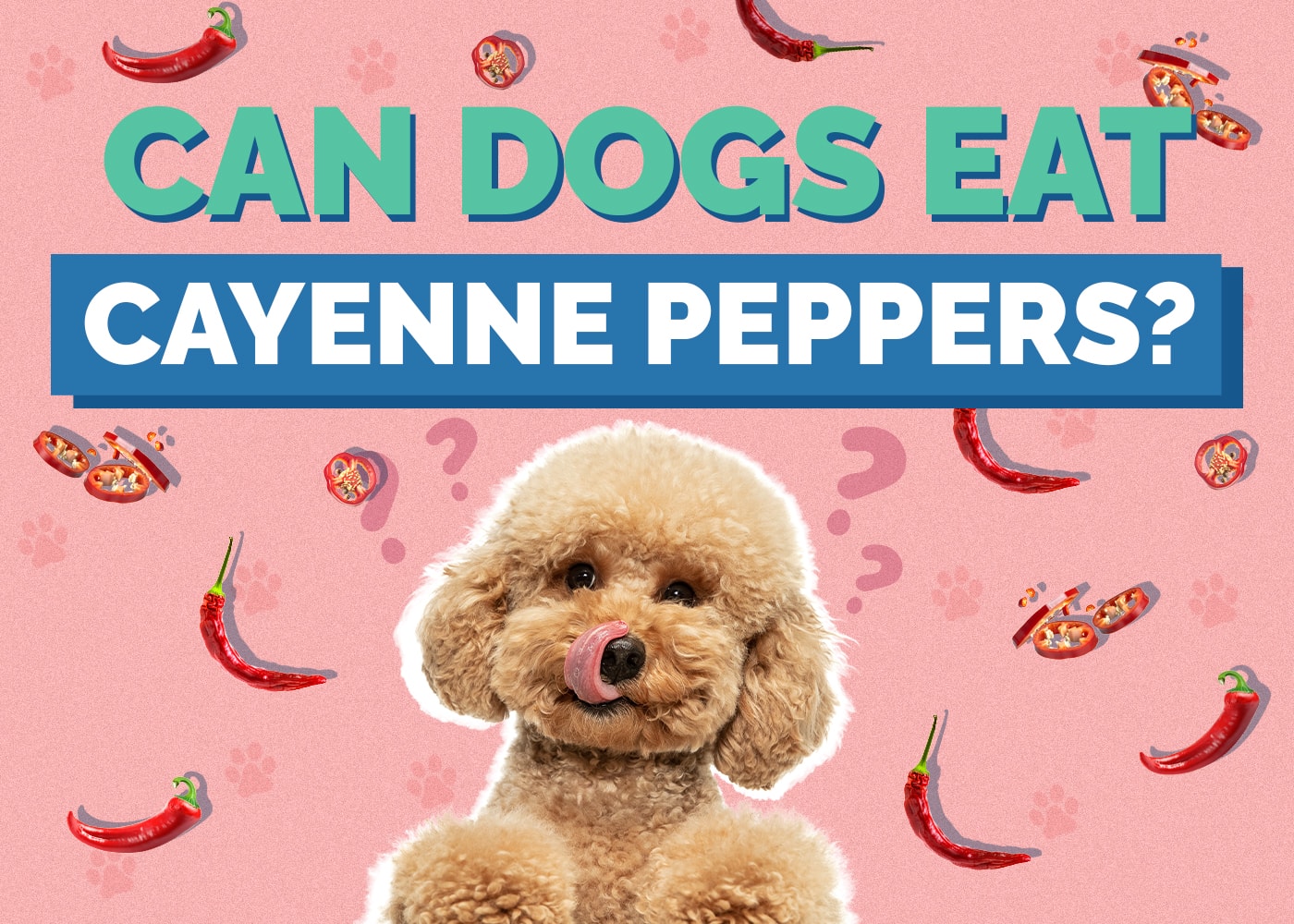 Image showcasing Can Dogs Eat Cayenne Peppers? Vet-Reviewed Facts & FAQ | Hepper Pet ...