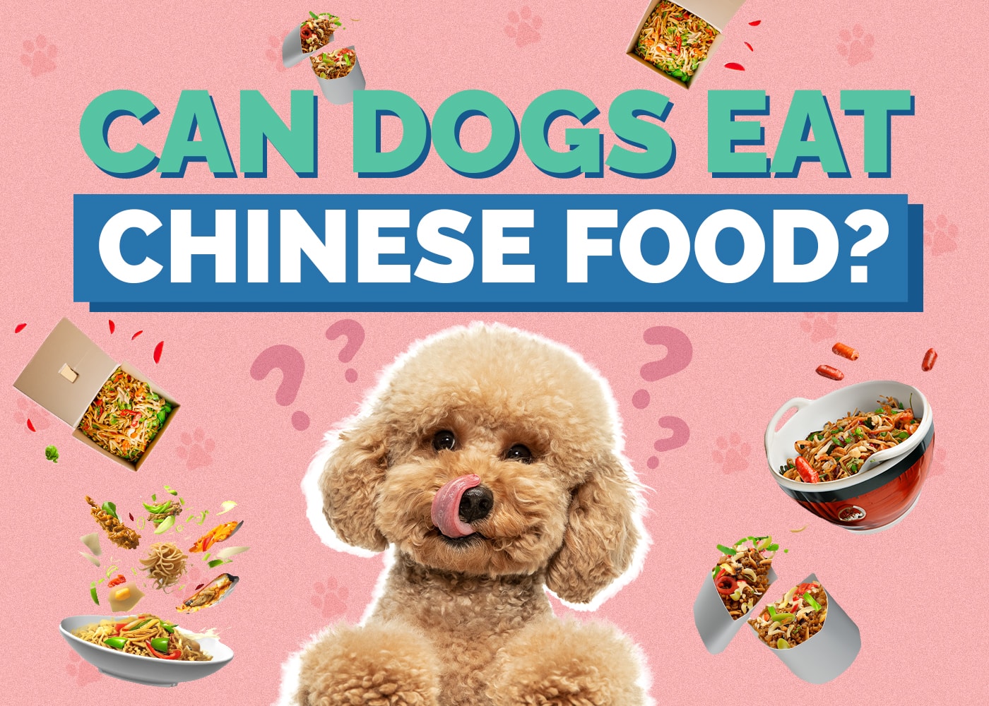 Can Dog Eat Chinese Food