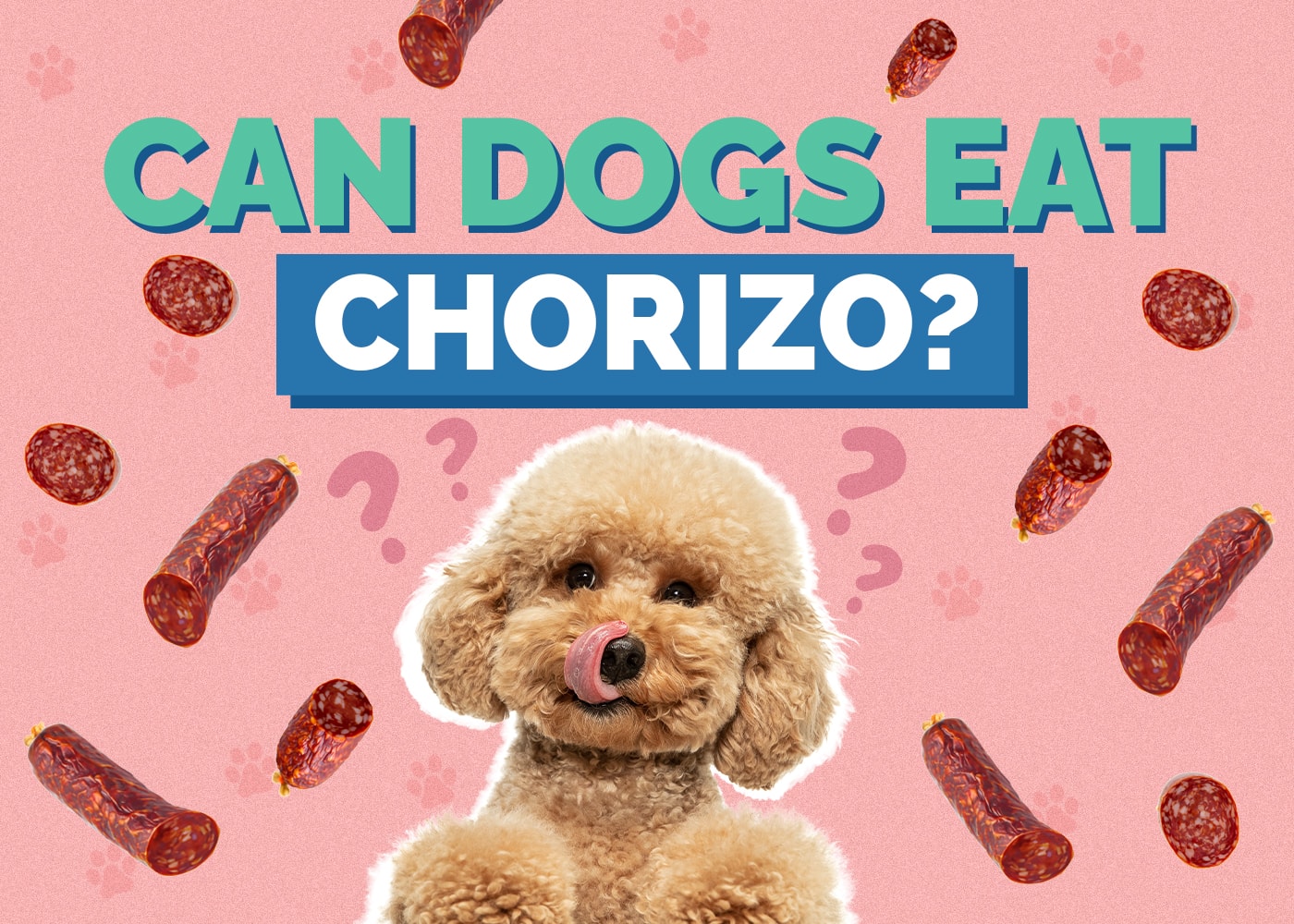 Can Dogs Eat Chorizo