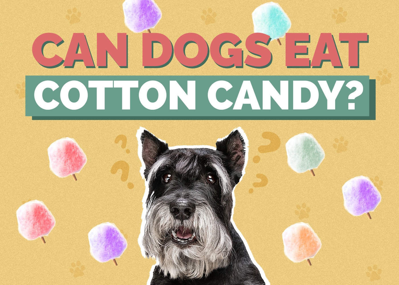Can Dogs Eat Cotton Candy