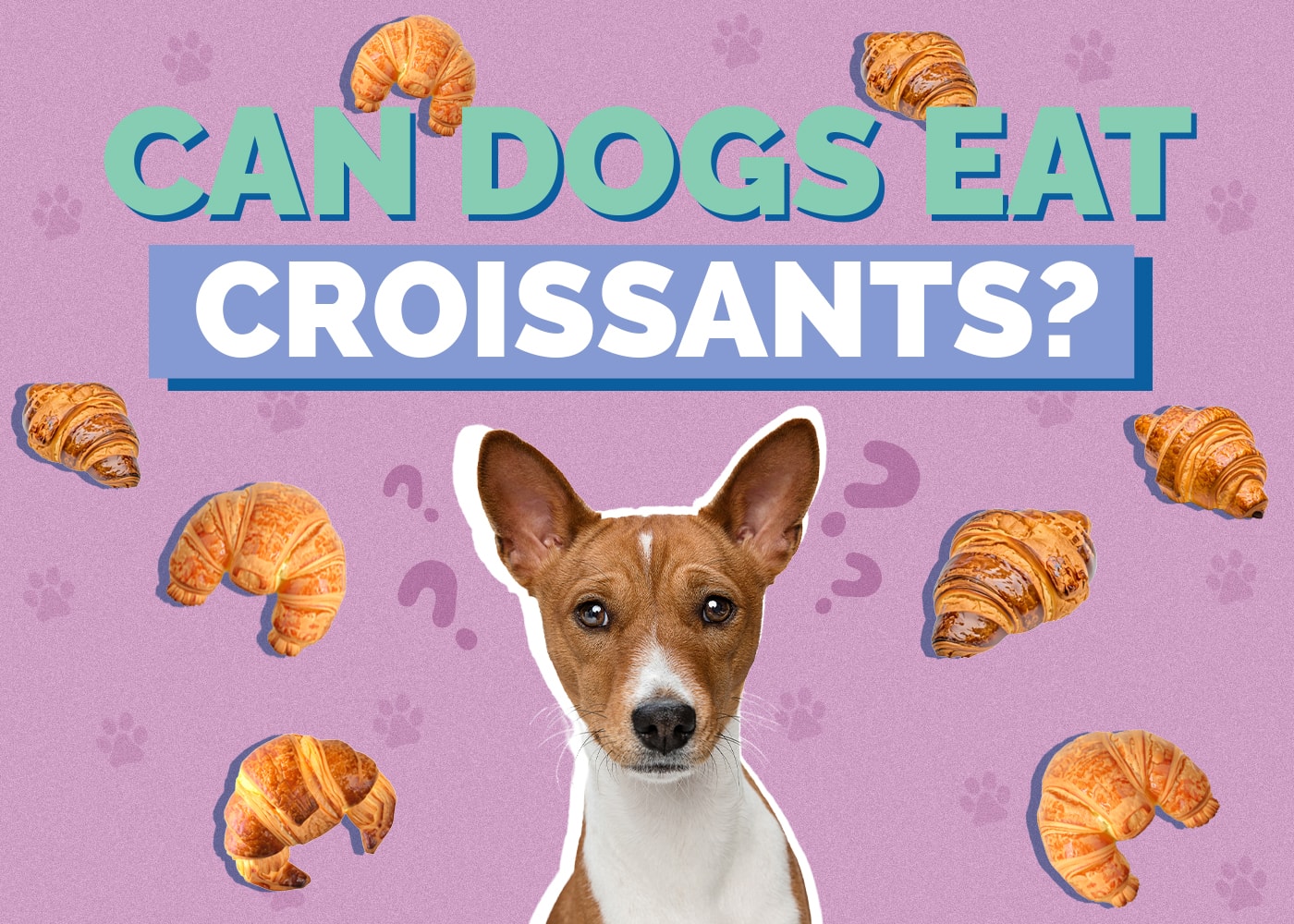 Can Dogs Eat Croissants