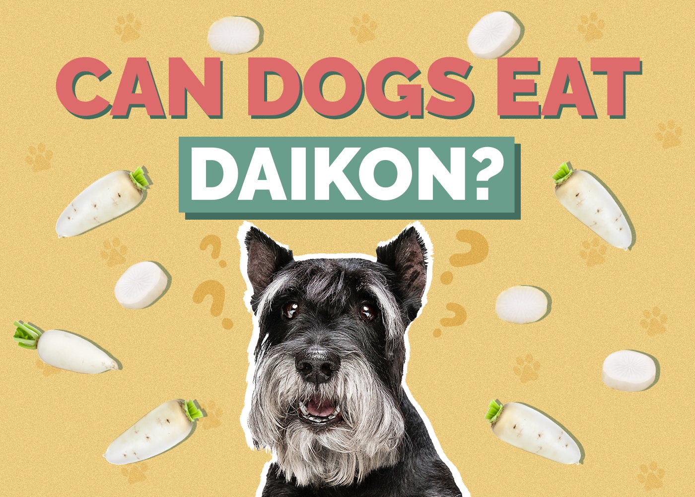 Can Dogs Eat Daikon