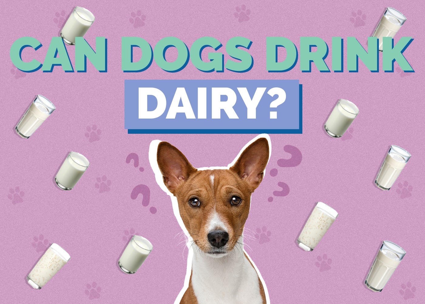 Can Dogs Eat Dairy