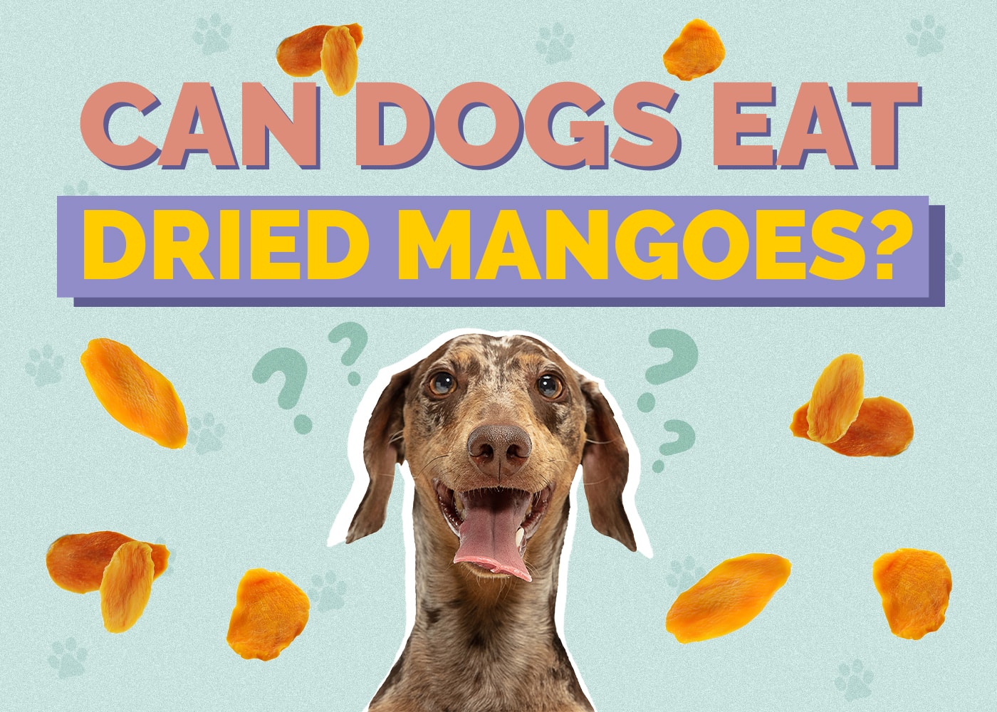 Can Dogs Eat Dried Mangos