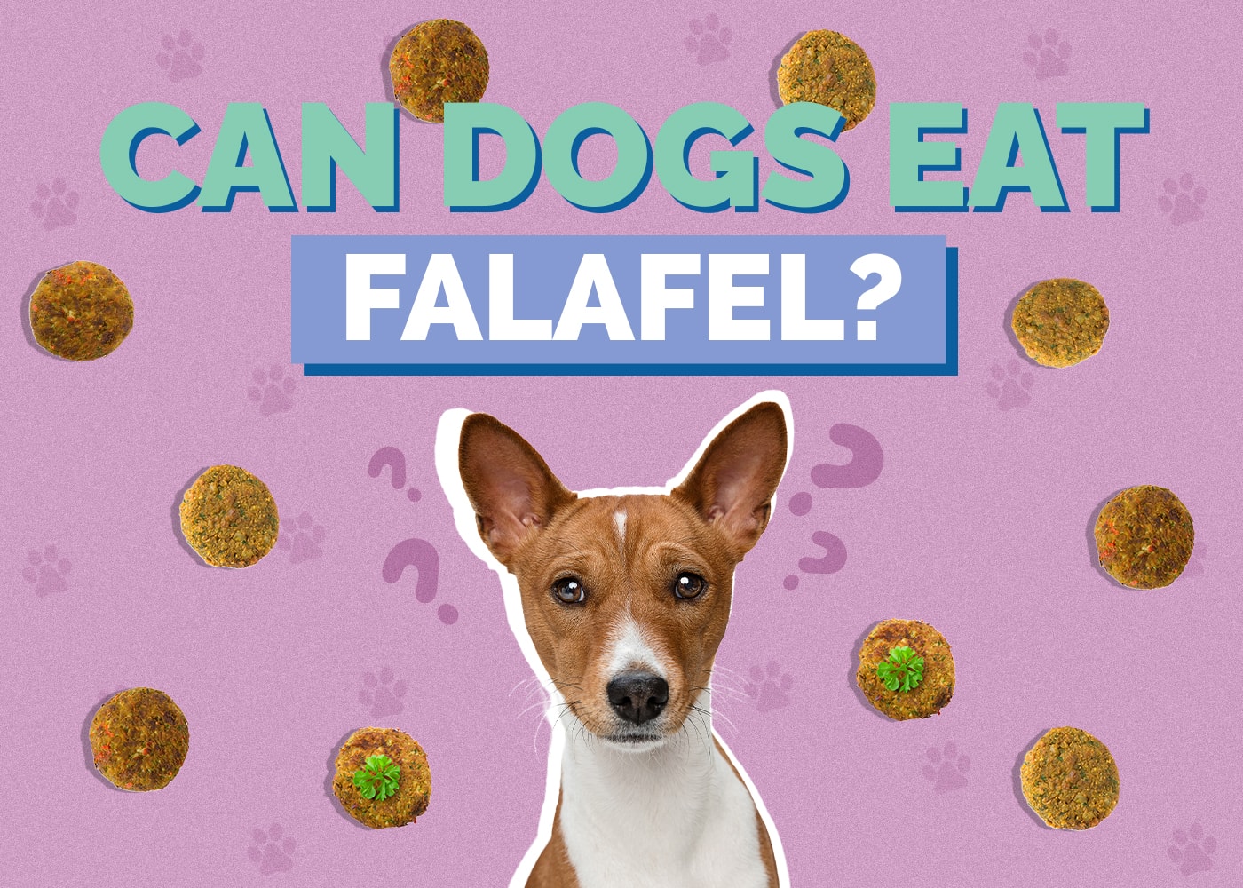 Can Dogs Eat Falafel