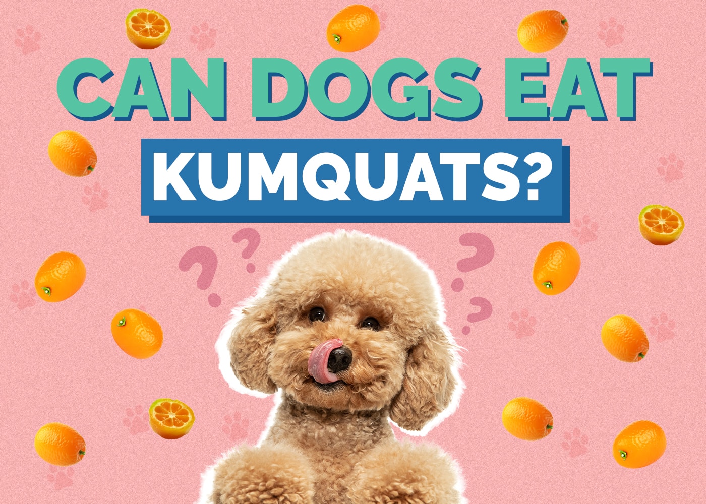 Can Dogs Eat Kumquats