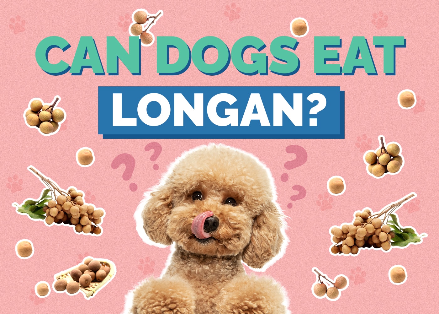 Can Dogs Eat Longan