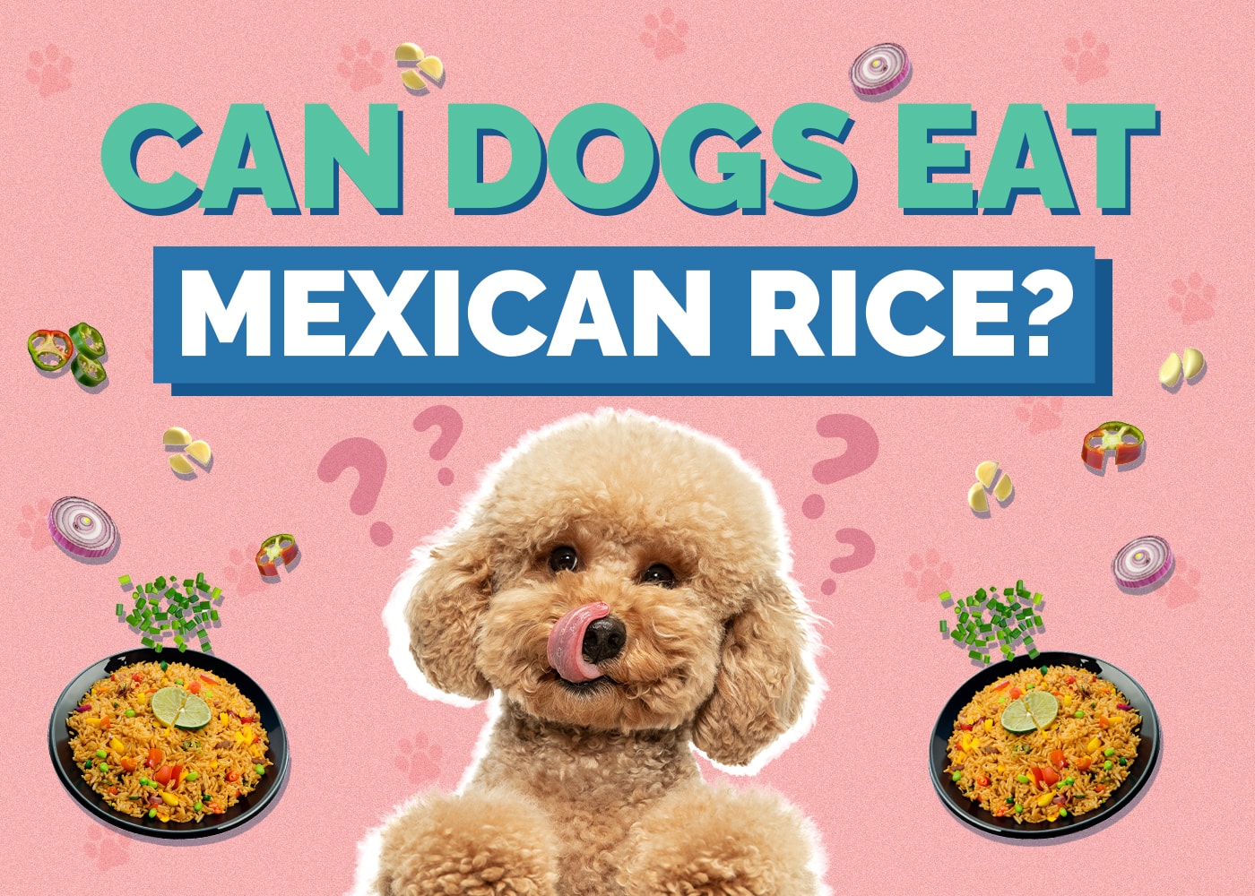 Can Dogs Eat Mexican Rice