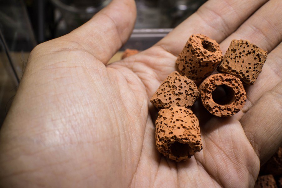 6 Benefits of Ceramic Rings in Aquariums: Facts & FAQs | Hepper Pet ...