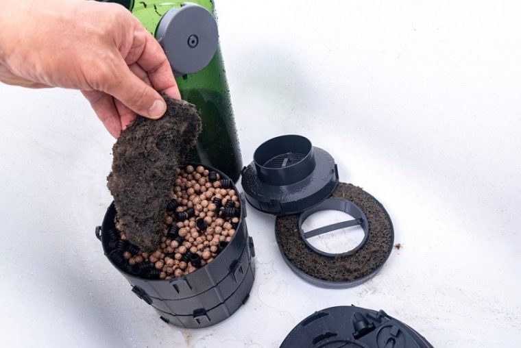 View of How to Clean a Turtle Tank: 9 Vet-Reviewed Tips | Hepper Pet Resources
