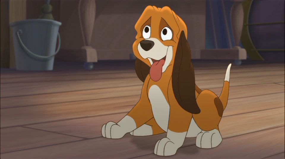 copper-fox and the hound