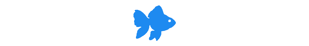 divider1-goldfish-new
