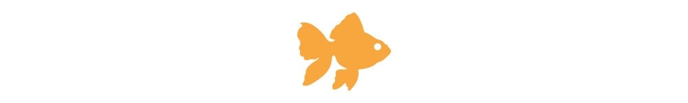 divider1- goldfish