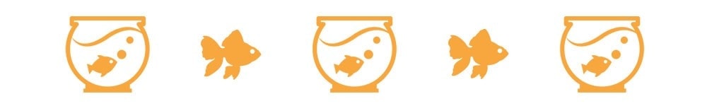 divider3 goldfish bowl