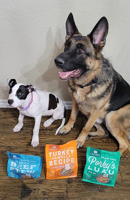 dogs and a pup above fresh dog food recipes