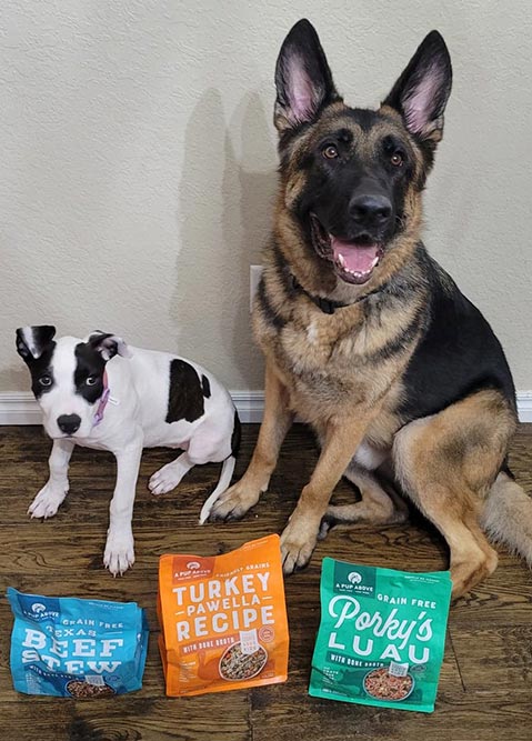 dogs and a pup above fresh recipes