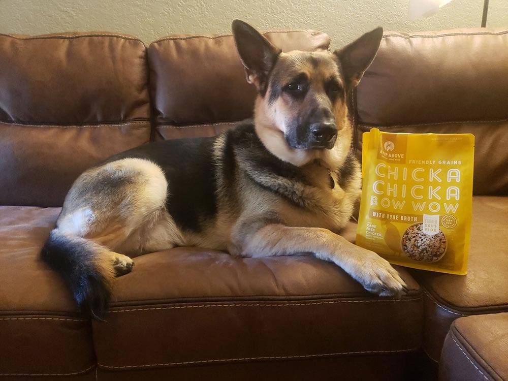german shepherd and a pup above chicka chicka bow wow recipe