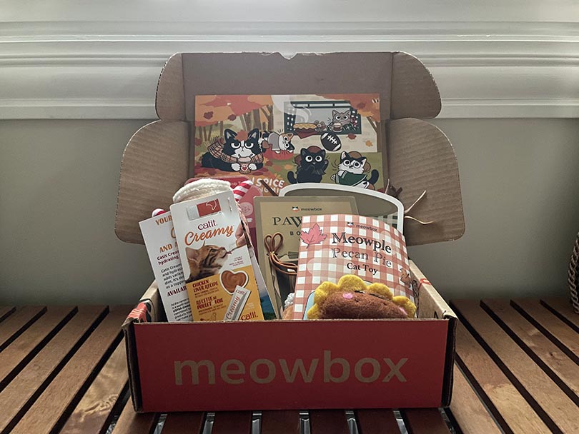 meowbox subscription box contents