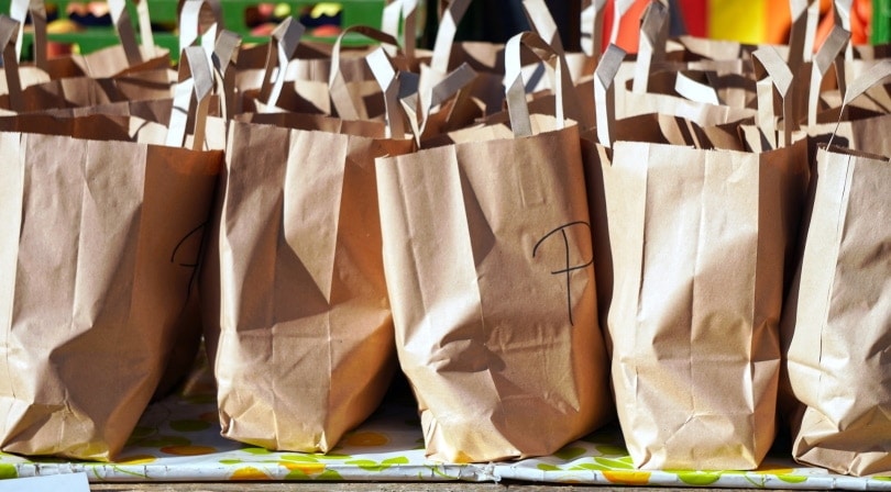 paper bag