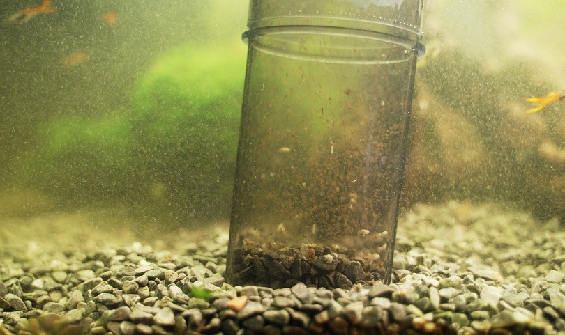 powered gravel cleaner in aquarium_Dmitri Ma_shutterstock