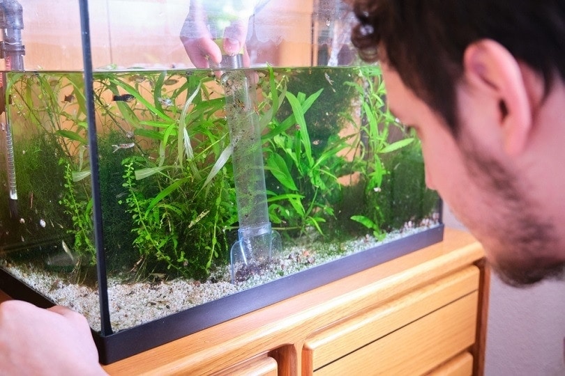 pumping-out-water-to-clean-up-the-substrate-in-his-aquarium