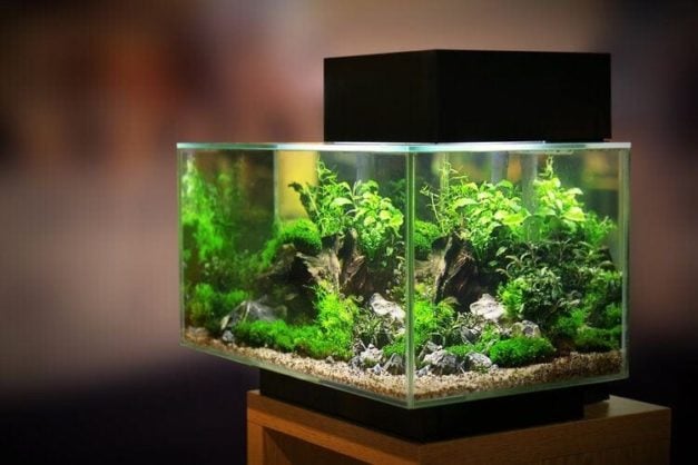 Image showcasing 13 Sturdy DIY Aquarium Stands You Can Build Today (With Pictures ...