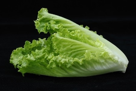 romaine lettuce