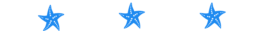 starfish 3 divider