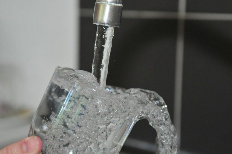 View of Can Hamsters Drink Tap Water? Vet Approved Facts & Safety Guide ...