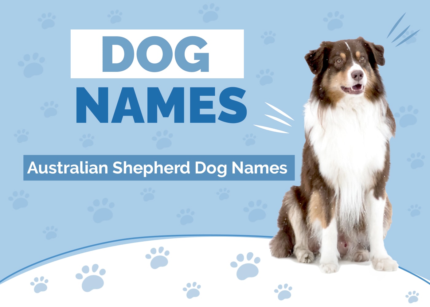 Australian Shepherd Names