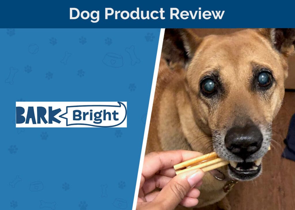Bark Bright Dental Review