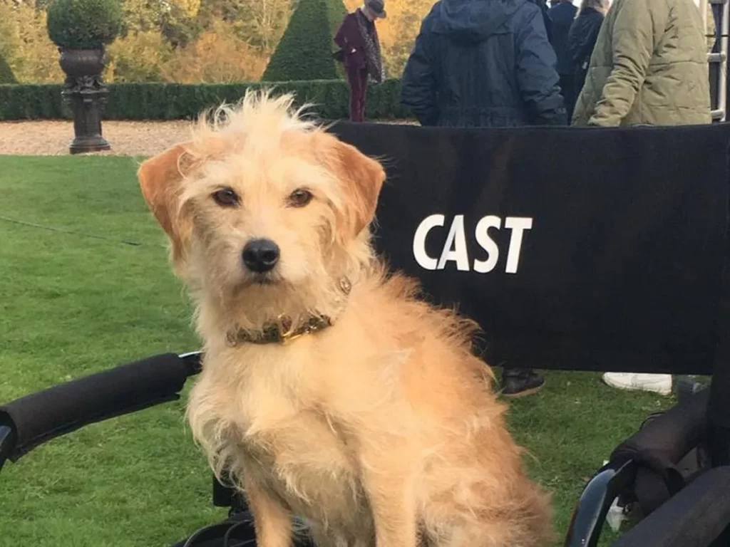Bobby-on-set-of-cruella as Buddy